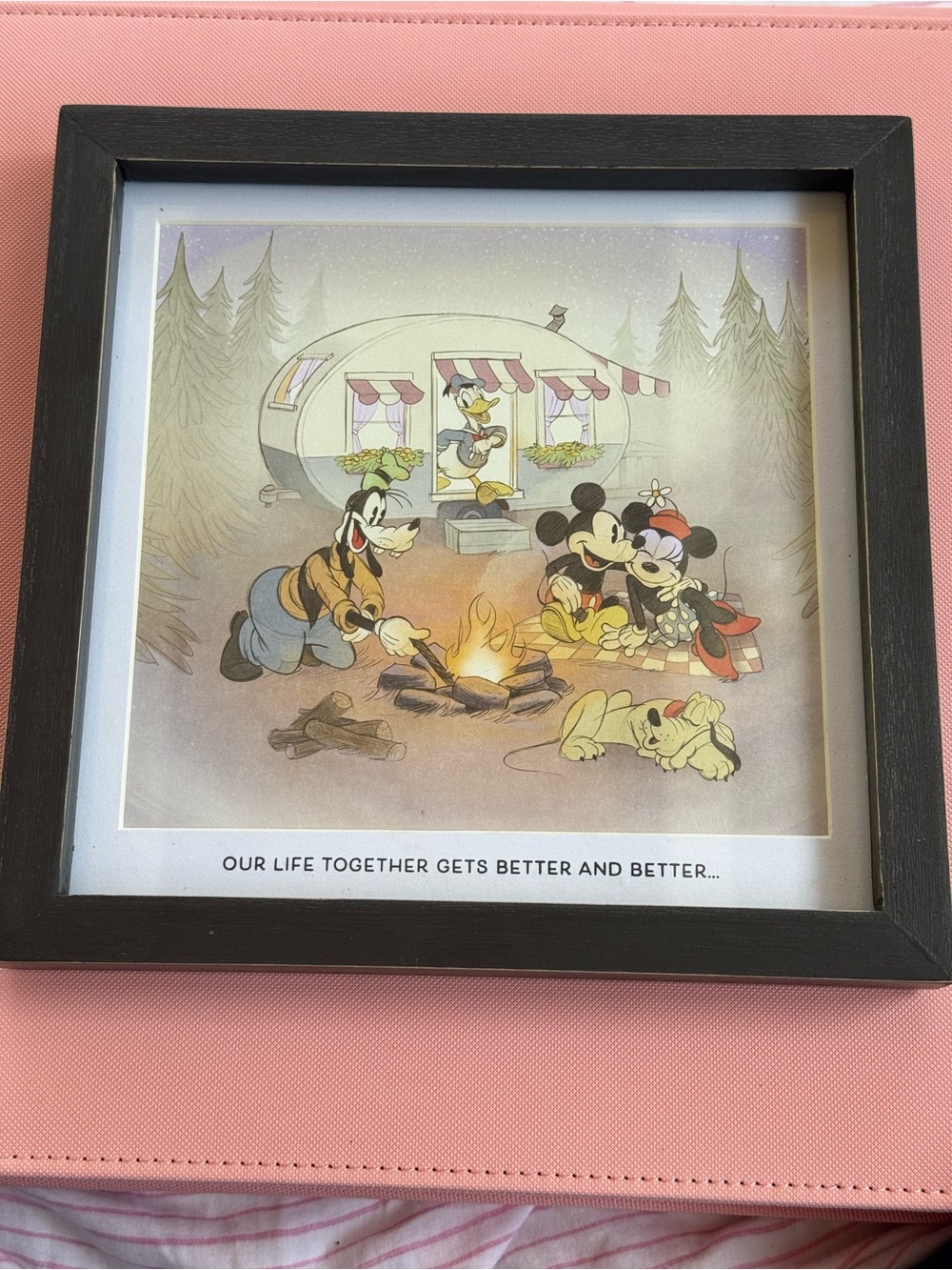 Disney Campfire Family Art Framed Print Wall  Home Table Accent Decor, NWT New